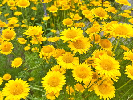 24-06-24 16-00-53 9860